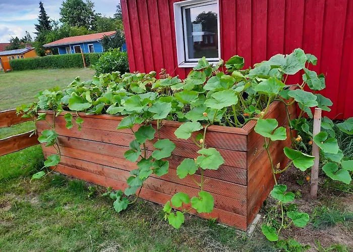 Casa de Férias Am Vilzsee, Mirow Diemitz (Mecklenburgische Seenplatte)